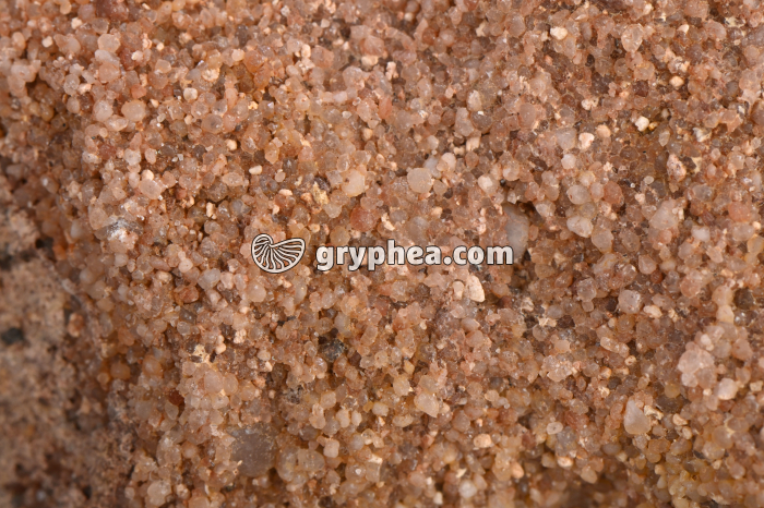 Grès rose - détail - gryphea.com